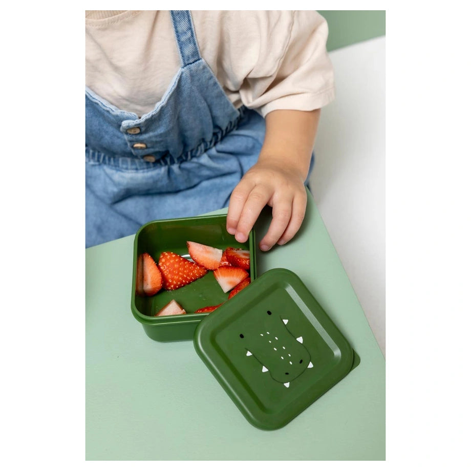 Trixie Snack Box Nesting Set of 3 (Mr. Alligator)