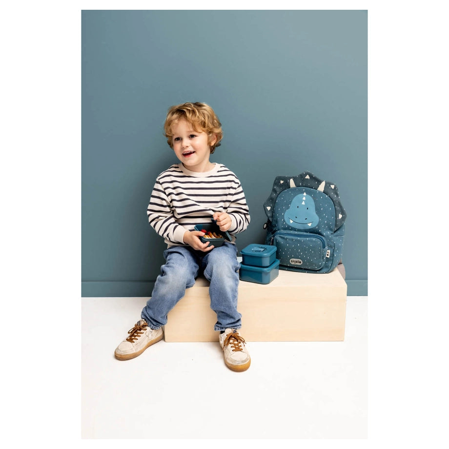 Trixie Snack Box Nesting Set of 3 (Mr Triceratops)