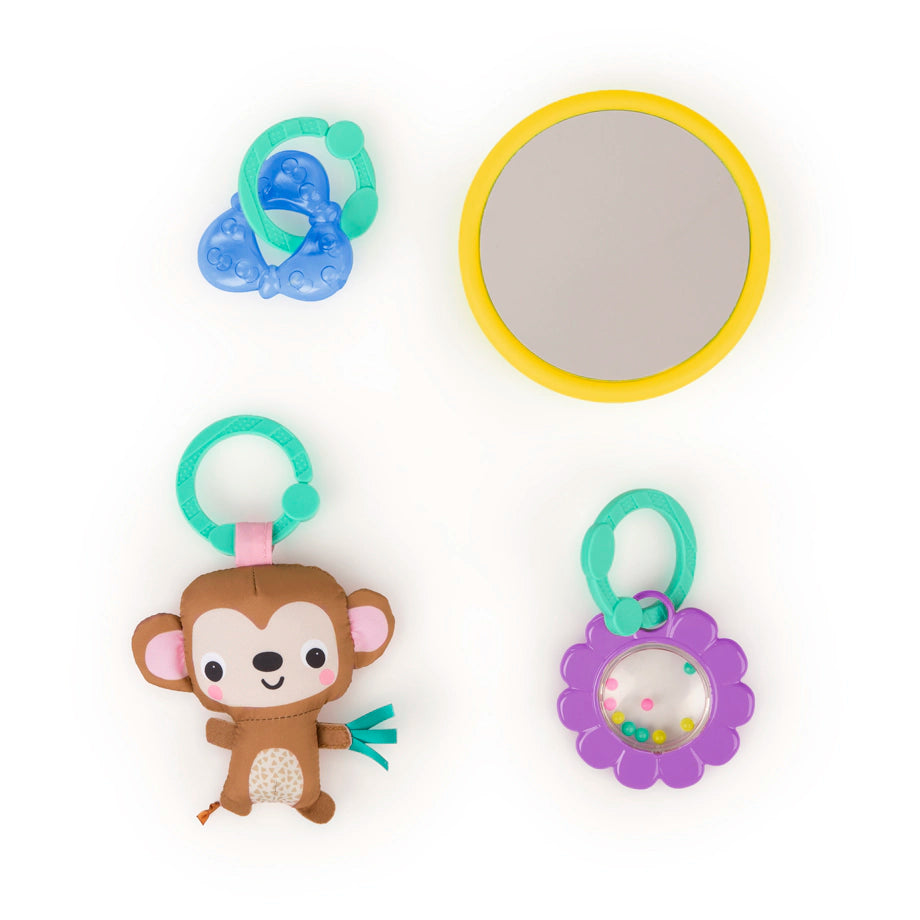 Bright Starts Fanciful Flowers Refresh