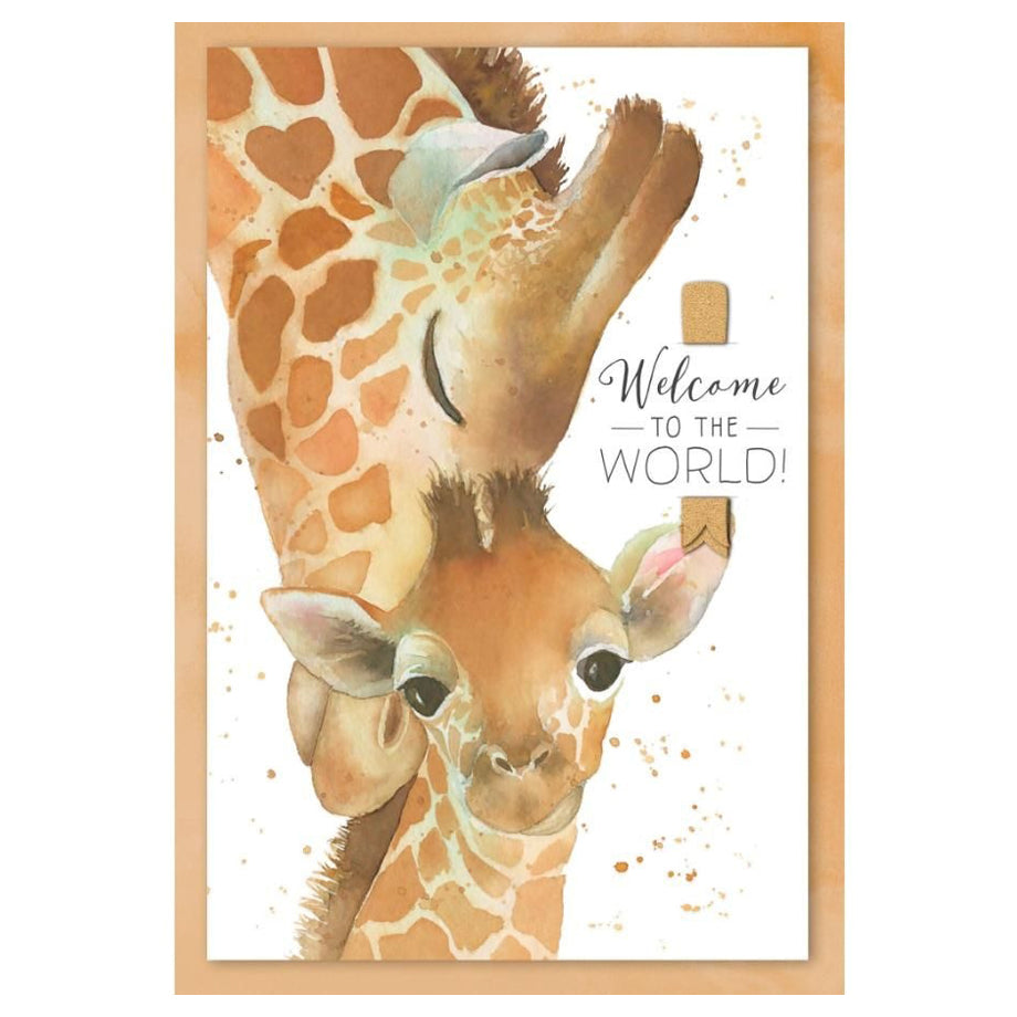 Hallmark Baby Boy! Welcome to the World!
