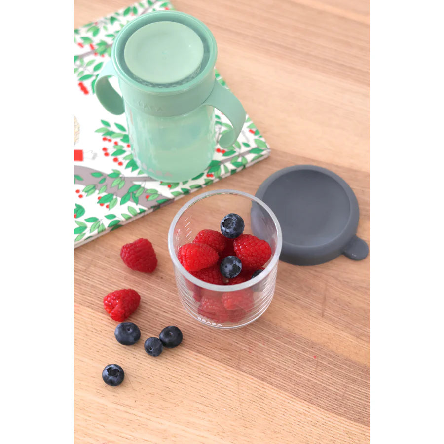 Beaba Conservative Glass Jars 250ml (Mineral)