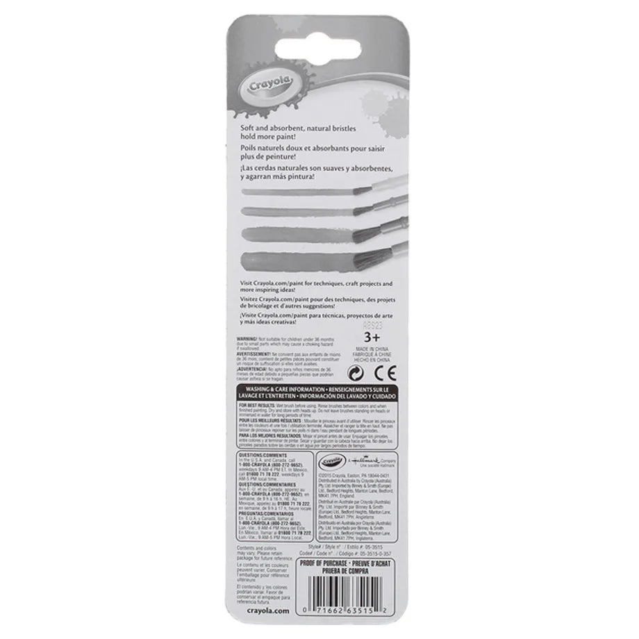 Crayola 4 Ct. Art & Craft Brush Set