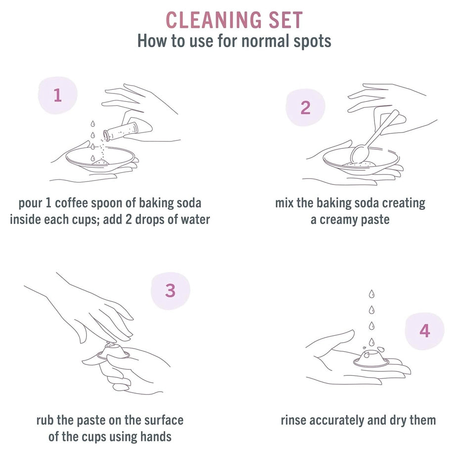 Silverette Cleaning Kit
