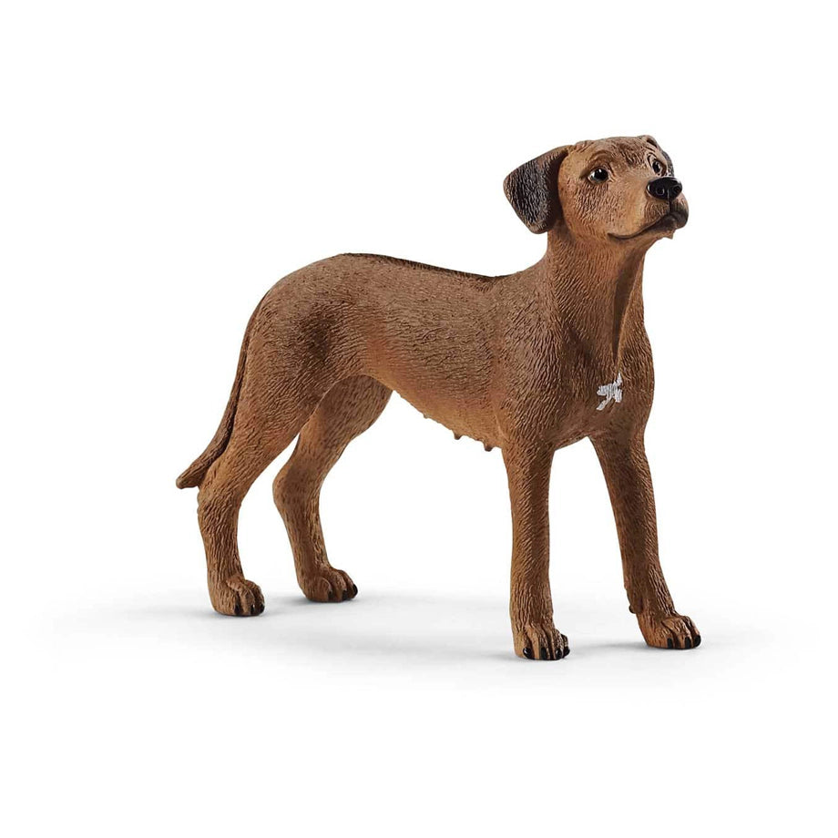 Schleich Rhodesian Ridgeback Figure