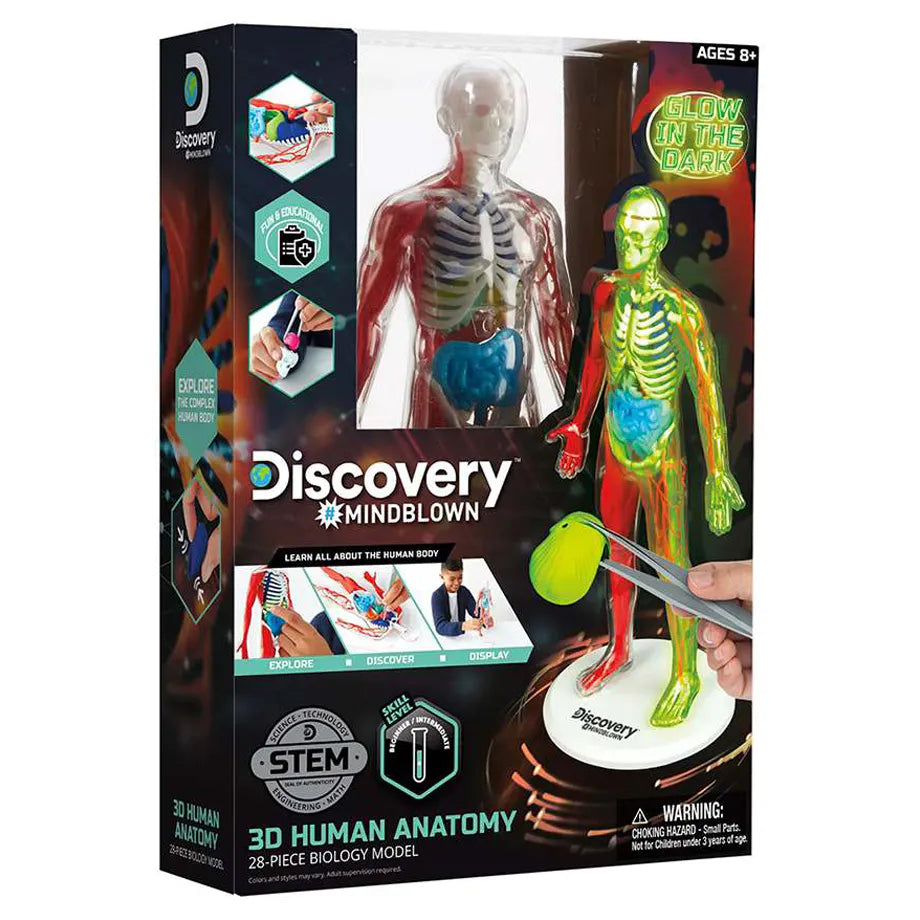 Discovery Mindblown Glow-in-the-Dark 3D Human Anatomy STEM Kit (28 Pieces)