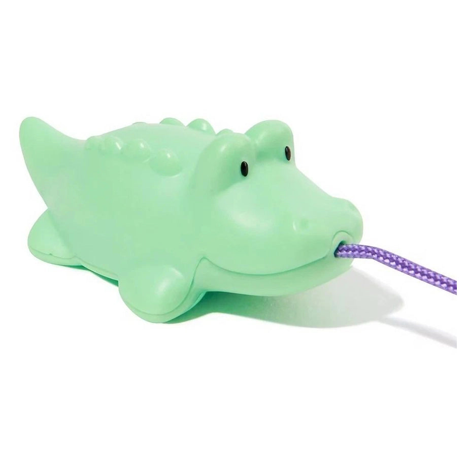Ms. Rachel Row Your Boat Water Toy