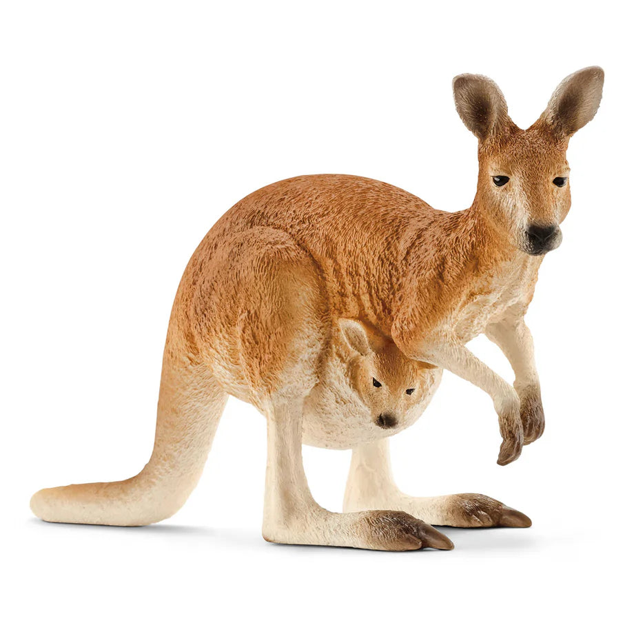 Schleich Wild Life Kangaroo Figure