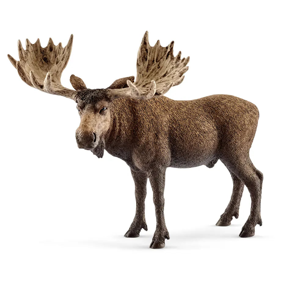 Schleich Wild Life Moose Bull Figure