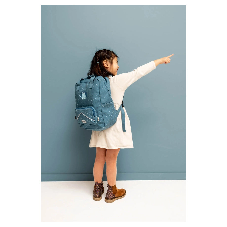Trixie School Starter Set (Mr Triceratops)