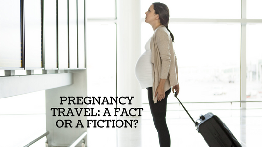 PREGNANCY TRAVEL TIPS: HOW TO MAKE TRAVEL SAFE AND FUN WHILE PREGNANT!