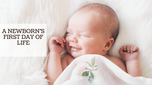 A NEWBORN’S FIRST DAY OF LIFE