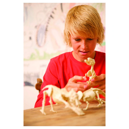 4M KidzLabs Dig a Dinosaur Skeleton Triceratops Kit