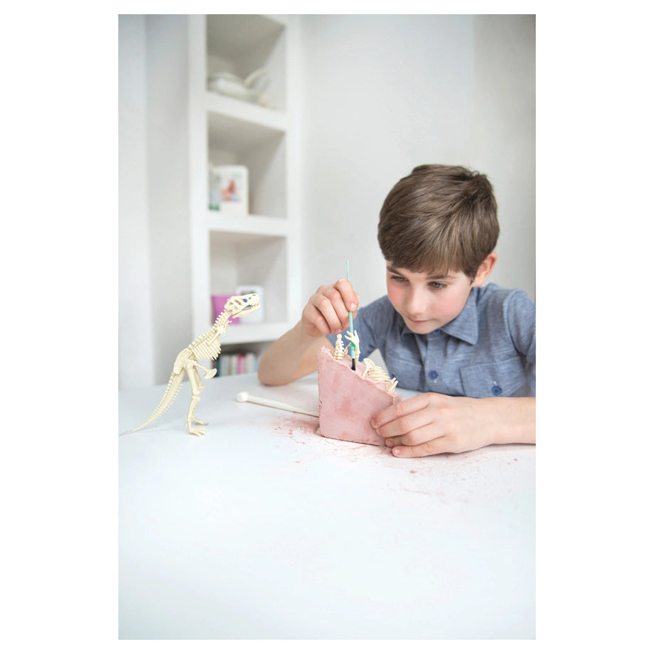 4M KidzLabs Dig a Dinosaur Skeleton Triceratops Kit