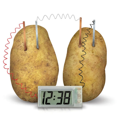 4M Kidz Labs Green Science Potato Clock