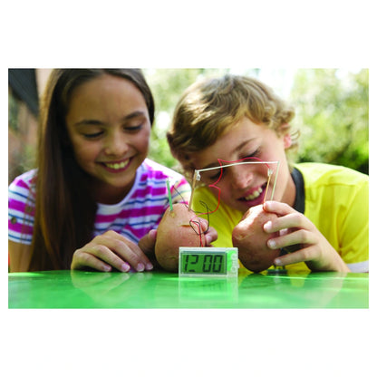 4M Kidz Labs Green Science Potato Clock
