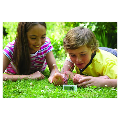 4M Kidz Labs Green Science Potato Clock