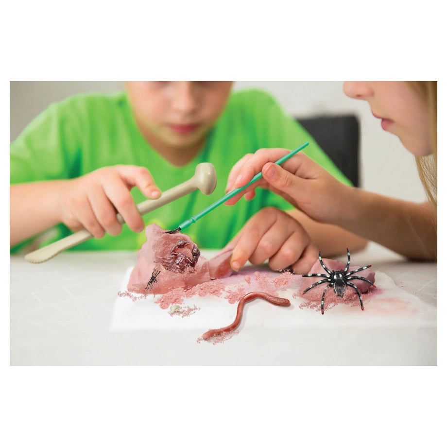 4M KidzLabs Creepy Crawly Digging Kit