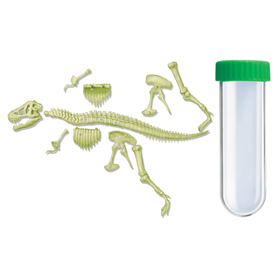 4M KidzLabs Glowing T-Rex Skeleton Science Kit