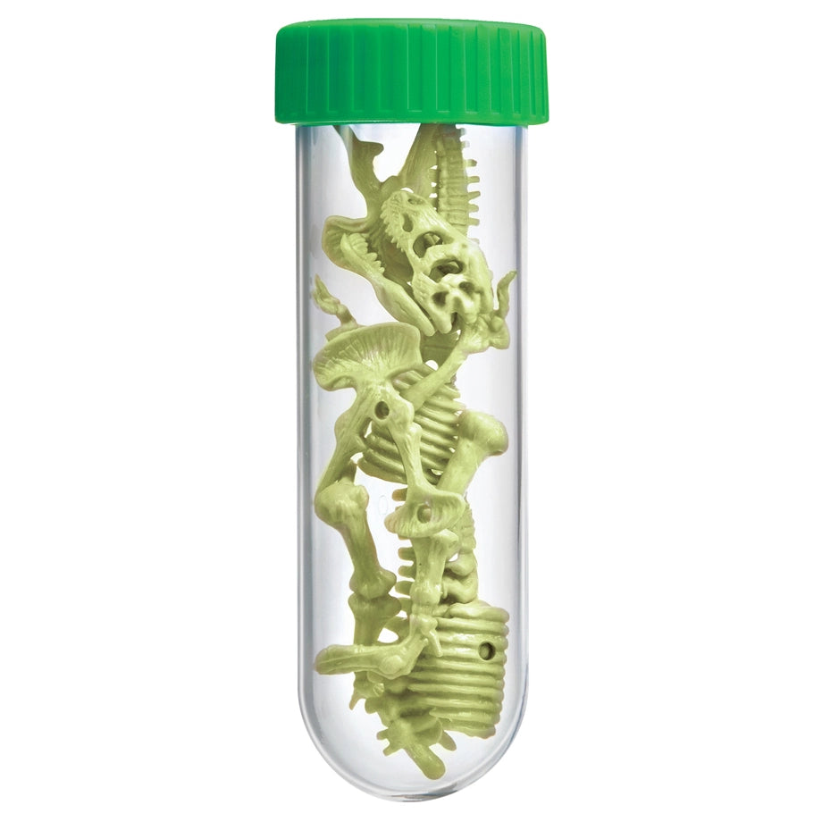 4M KidzLabs Glowing T-Rex Skeleton Science Kit