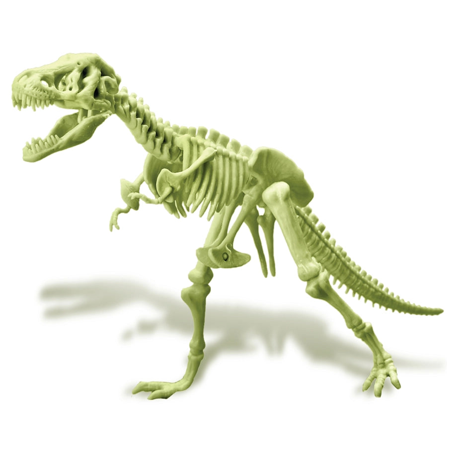 4M KidzLabs Glowing T-Rex Skeleton Science Kit