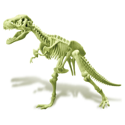 4M KidzLabs Glowing T-Rex Skeleton Science Kit