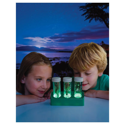 4M KidzLabs Glow Critter Lab Science Kit