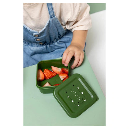 Trixie Snack Box Nesting Set of 3 (Mr. Alligator)