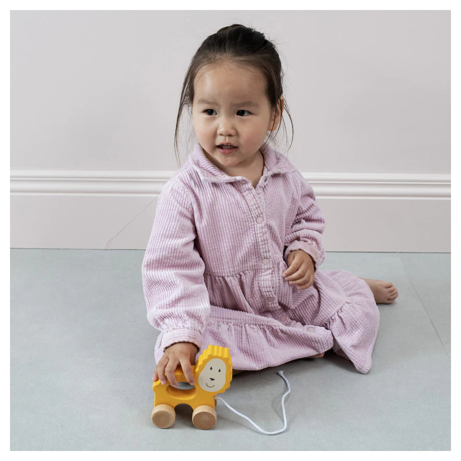 Matchstick Monkey Playtime Pull Along Toy Lion