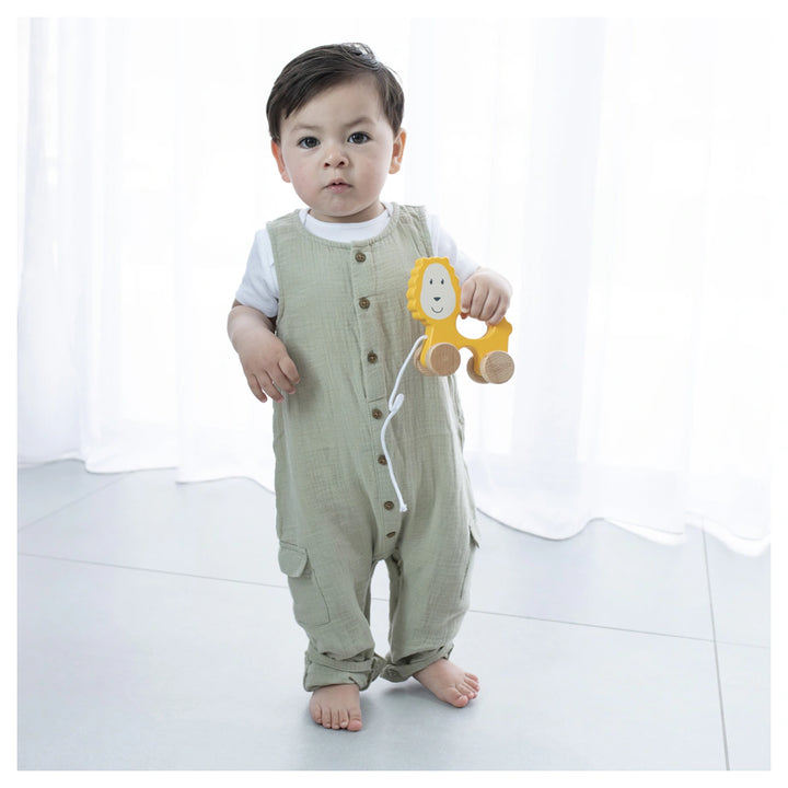 Matchstick Monkey Playtime Pull Along Toy Lion