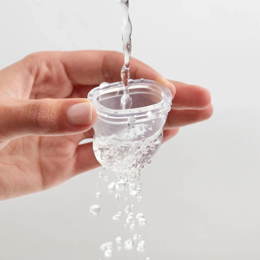 مجموعة تغذية Push Pop ذات طرف مكون من 3 قطع - لون أزرق مخضر نابض بالحياة مجموعة تغذية Push Pop ذات طرف مكون من 3 قطع - لون أزرق مخضر نابض بالحياة