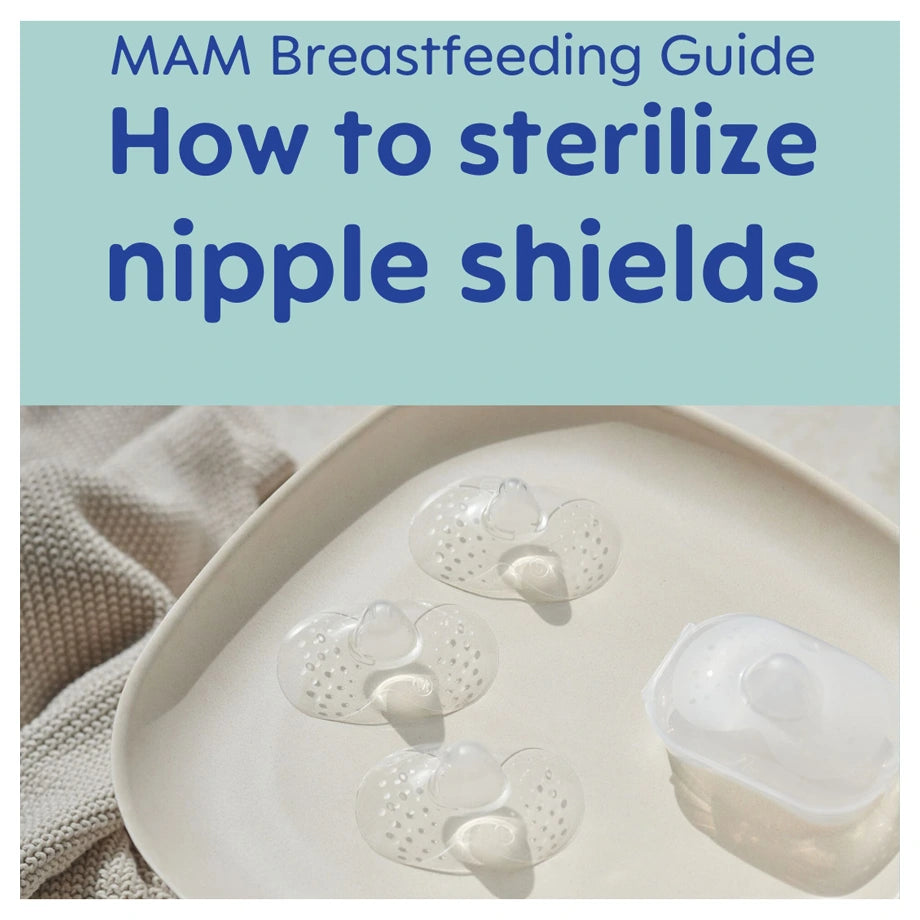 Mam Baby Nipple Shield - Size L Pack Of 3 (Clear)
