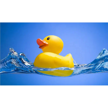 Sassy Cool Water Ducky