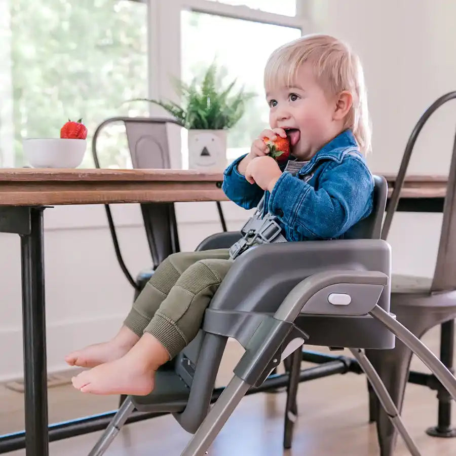 Ingenuity SmartServe 4-in-1 High Chair Connolly