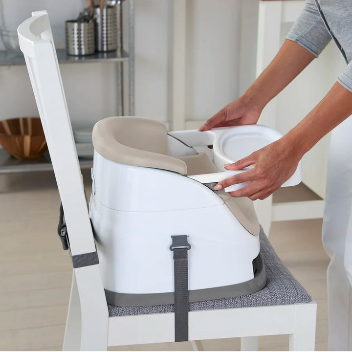 Ingenuity Baby Base 2 in1 Seat Cashmere