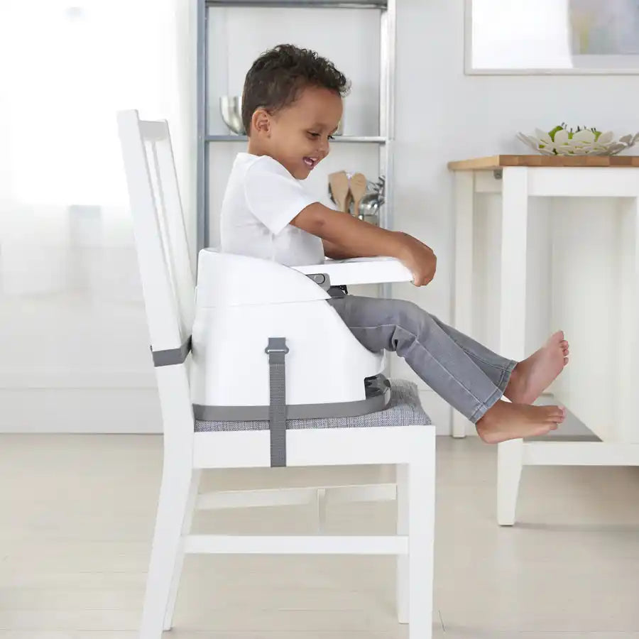 Ingenuity Baby Base 2-in-1 Seat (Slate)