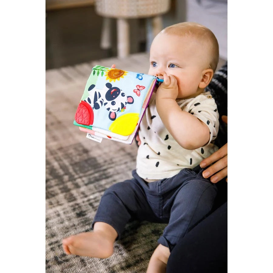 Baby Einstein Curious Explorers Teether Book Baby Einstein Curious Explorers Teether Book