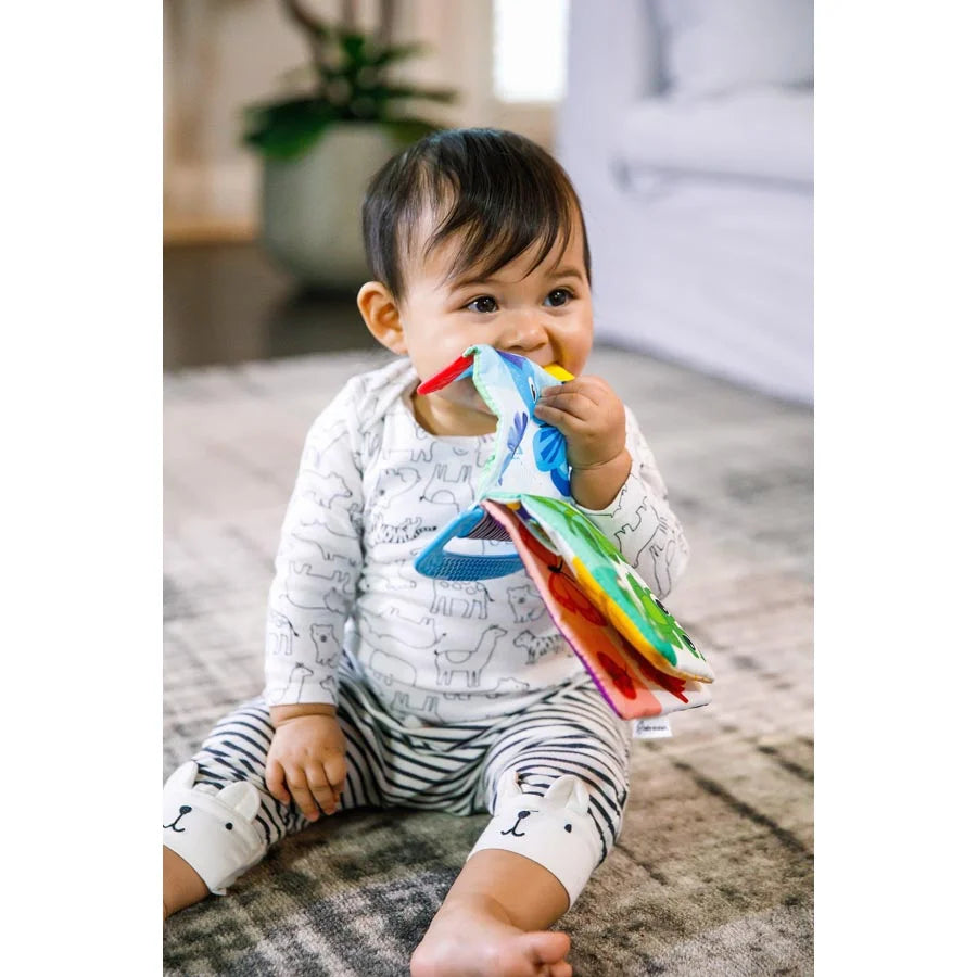 Baby Einstein Curious Explorers Teether Book Baby Einstein Curious Explorers Teether Book