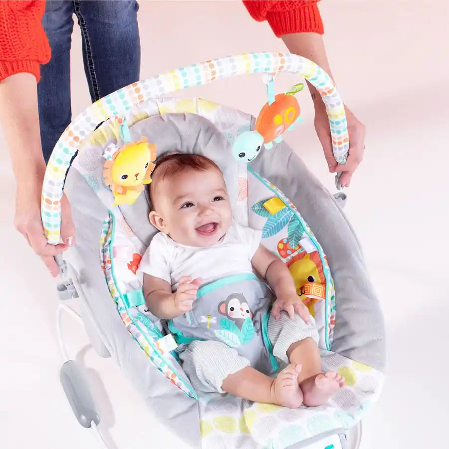 Bright Starts Whimsical Wild Comfy Bouncer