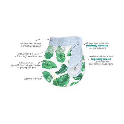 Pure Born Organic Bamboo Diaper Pants Size 7 (Pack of 64)