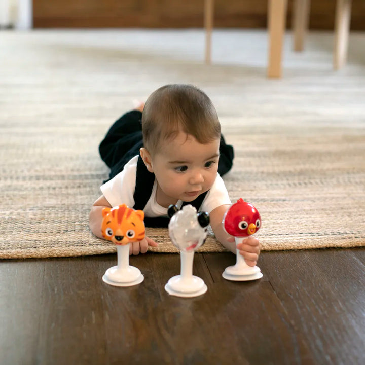 Baby Einstein Rattle & Jingle Trio Take-Along Toy Rattle Set