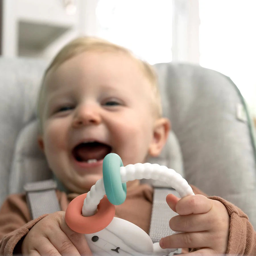 Ingenuity Soothing Sheppy Teether Toy Ingenuity Soothing Sheppy Teether Toy