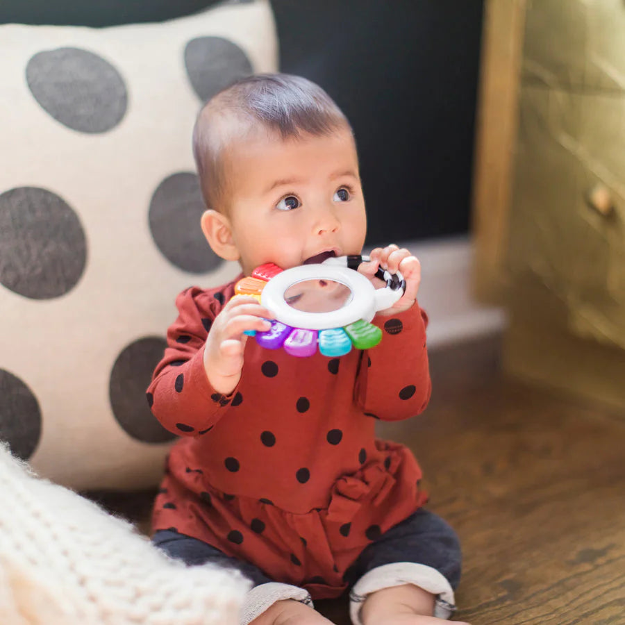 Baby Einstein Outstanding Opus Sensory Rattle & Teether Baby Einstein Outstanding Opus Sensory Rattle & Teether