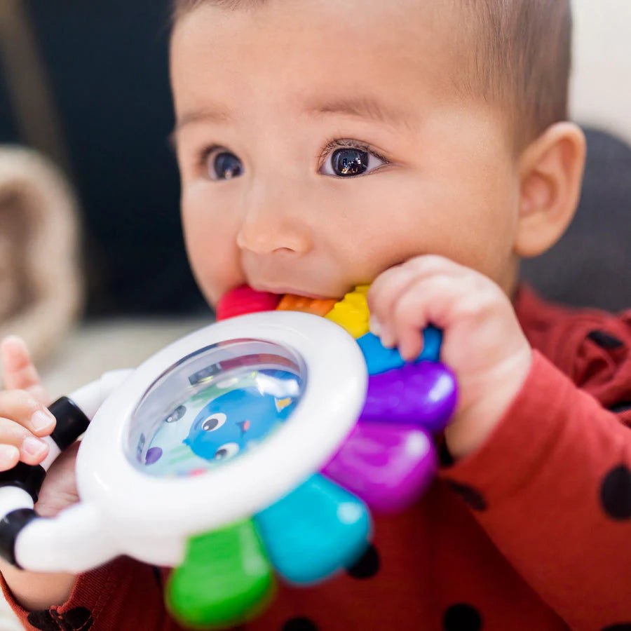 Baby Einstein Outstanding Opus Sensory Rattle & Teether Baby Einstein Outstanding Opus Sensory Rattle & Teether