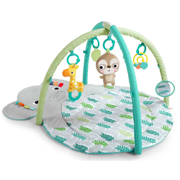 Bright Starts Hug n Cuddle Activity Gym