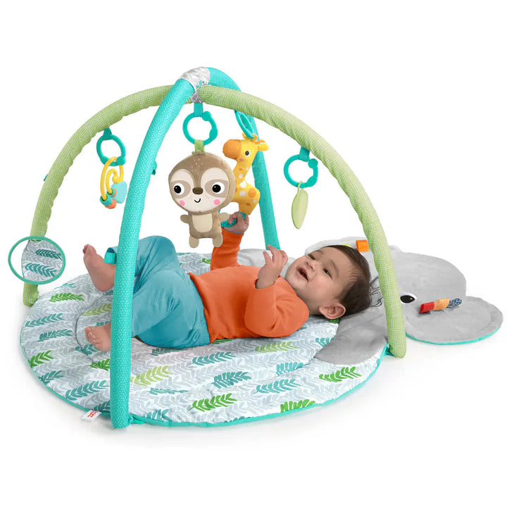 Bright Starts Hug n Cuddle Activity Gym