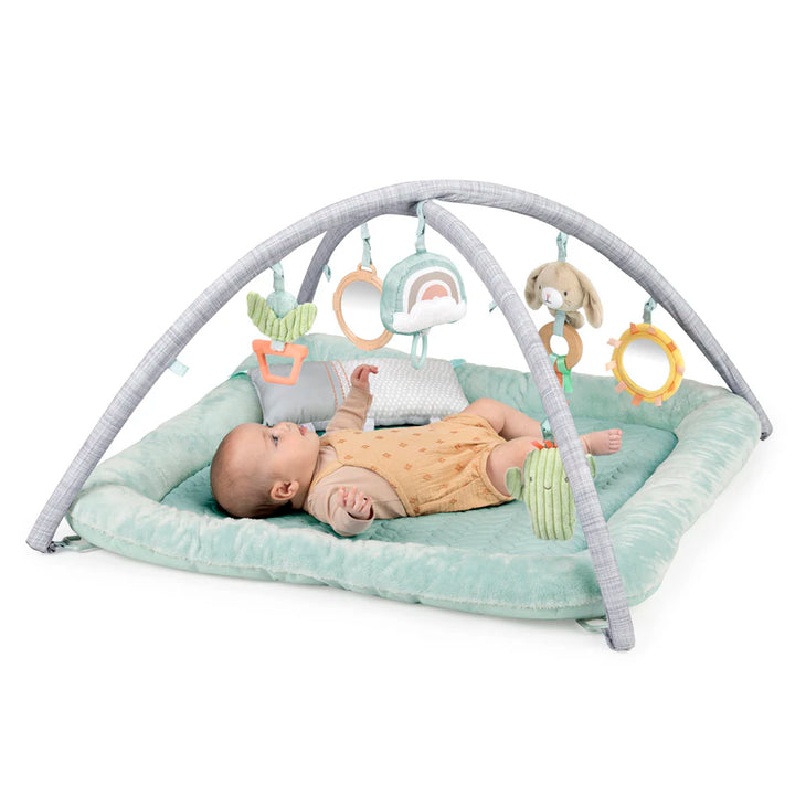 Ingenuity Calm Springs Plush Activity Gym - Chic Boutique