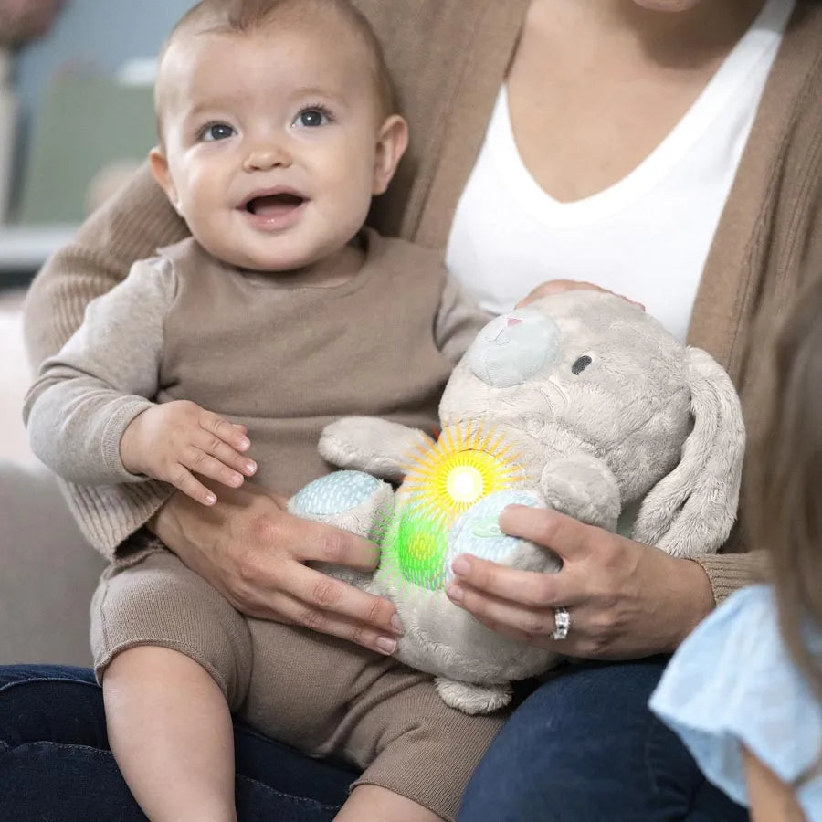 لعبة القطيفة المهدئة Heart To Hugs Sylvi من Ingenuity لعبة القطيفة المهدئة Heart To Hugs Sylvi من Ingenuity