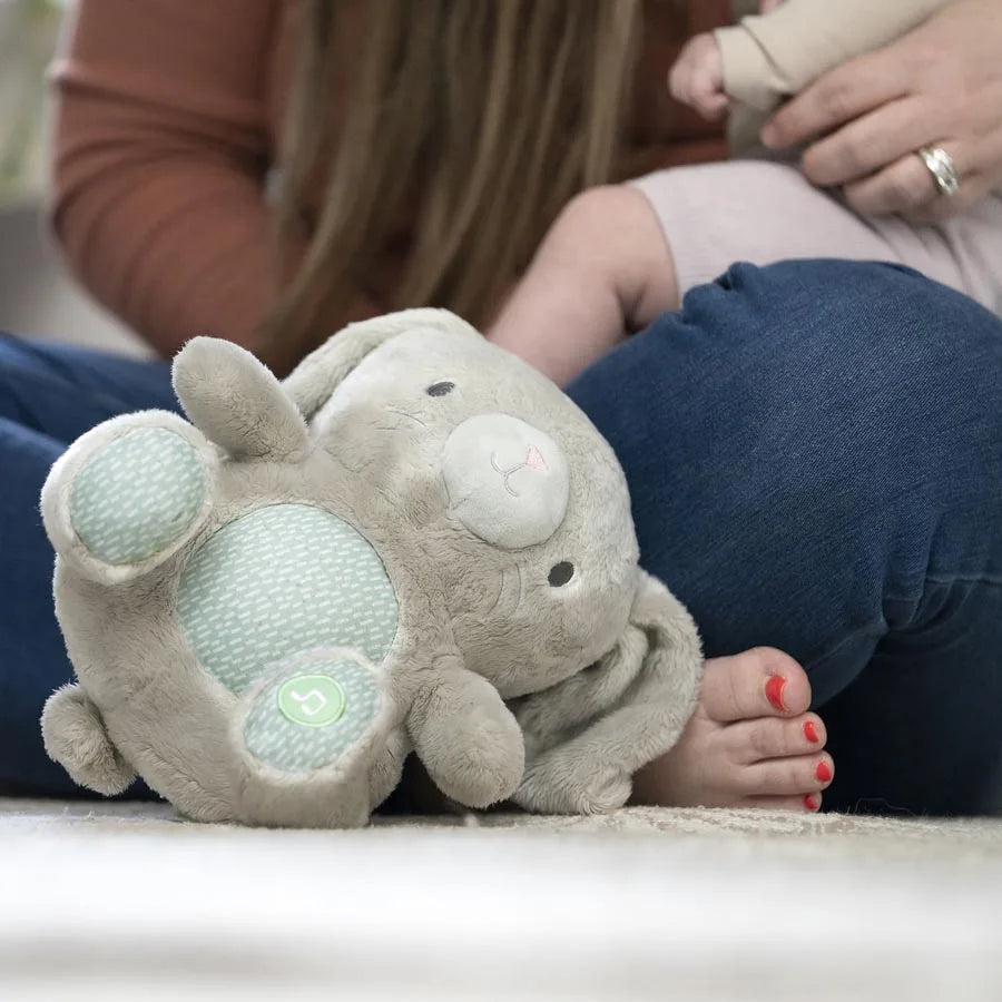 لعبة القطيفة المهدئة Heart To Hugs Sylvi من Ingenuity لعبة القطيفة المهدئة Heart To Hugs Sylvi من Ingenuity