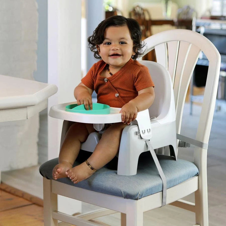 Ingenuity Deluxe Learn-To-Dine Feeding Seat