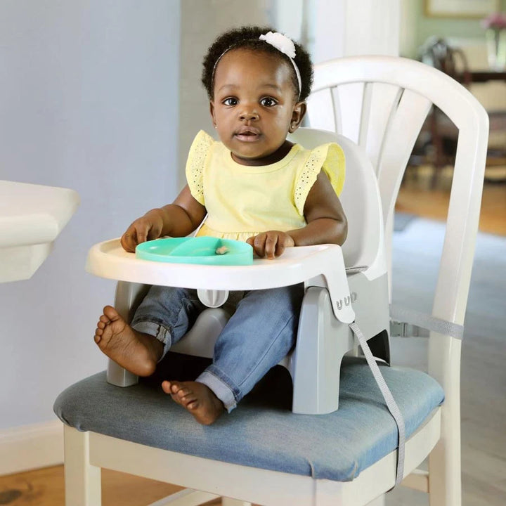 Ingenuity Deluxe Learn-To-Dine Feeding Seat